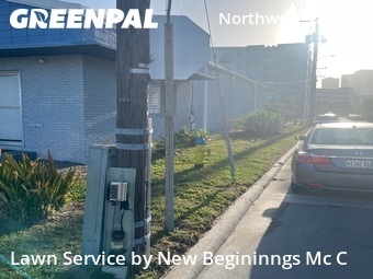 Lawn Mowing Service nearby Tampa, FL, 