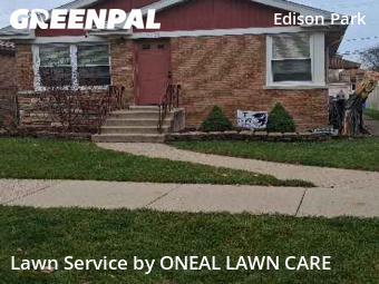 Lawn Cut nearby Chicago, IL, 