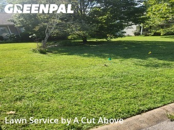 Lawn Cutting nearby Smyrna, TN, 