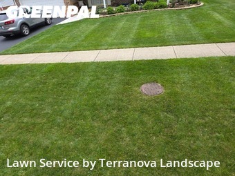 Yard Cuttingin Palatine,60074,Lawn Maintenance by Terranova Landscape, work completed in Dec , 2025