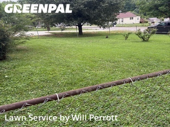 Grass Cut nearby Knoxville, TN, 