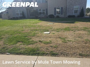 Lawn Maintenance nearby Christiana, TN, 
