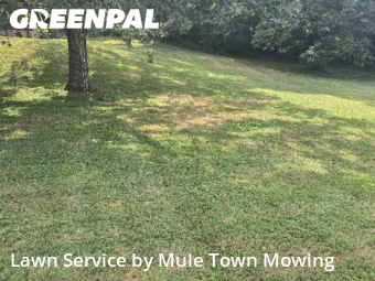 Lawn Care Service nearby Brentwood, TN, 