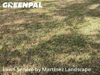 Lawn mowed in Lady Lake, 32159