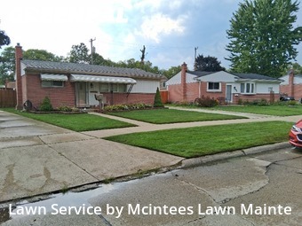 Lawn Mow nearby Southgate, MI, 