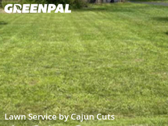 Grass Cut nearby Murfreesboro, TN, 