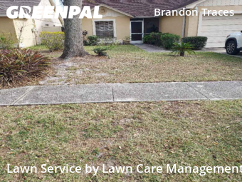 Lawn Maintenance nearby Brandon, FL, 