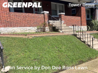 Grass Cut nearby St. Louis, MO, 