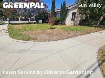 Lawn Mowing Service nearby North Hollywood, CA, 