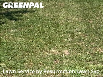 Lawn Care Service nearby Greensboro, NC, 