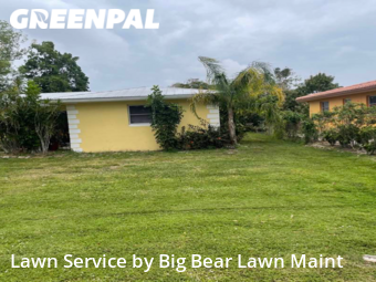 Grass Cut nearby Fort Myers, FL, 