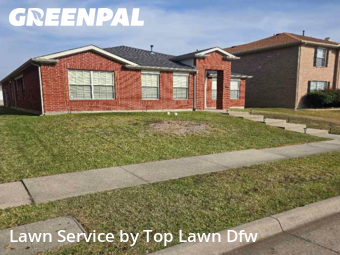 Lawn Maintenancein Wylie,75098,Lawn Mowing Service by Top Lawn Dfw, work completed in Jan , 2026