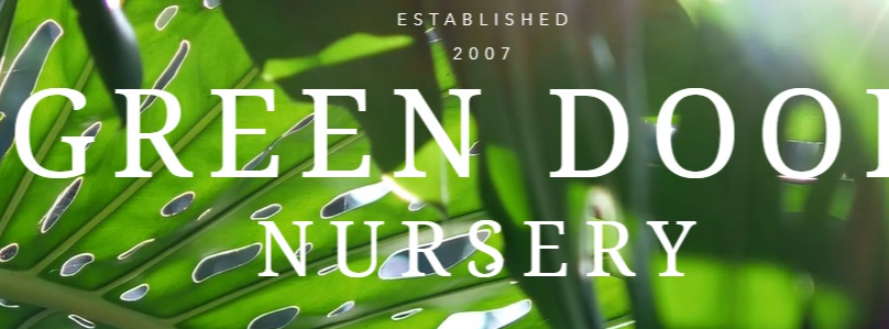 Best Nursery in Lehigh Acres Florida 3