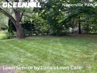 Lawn Maintenance nearby Naperville, IL, 