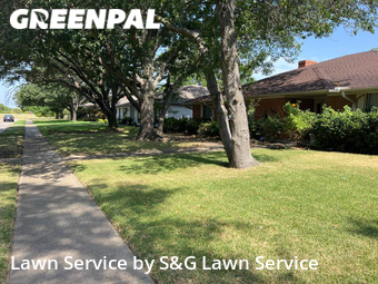 Grass Cut nearby Richardson, TX, 