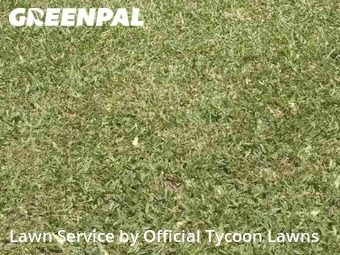 Lawn Cutting nearby Palm Coast, FL, 