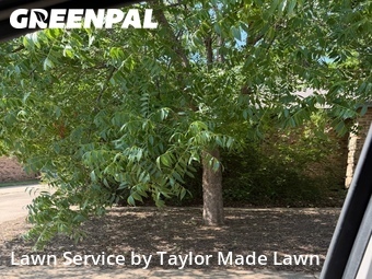 Lawn Mowing Service nearby Euless, TX, 