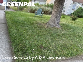 Lawn Cutting nearby Lawrence Township, NJ, 