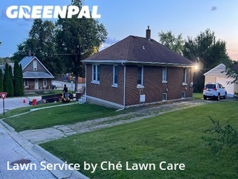 Grass Cut nearby Rockdale, IL, 