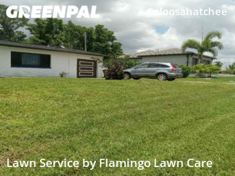 Grass Cutting nearby Cape Coral, FL, 