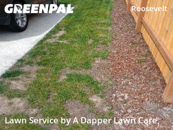 Lawn Maintenance nearby Bellingham, WA, 