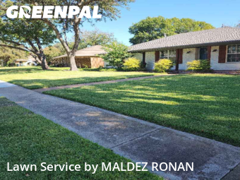 Lawn Care Servicein Richardson,75080,Lawn Cut by MALDEZ RONAN, work completed in Dec , 2025