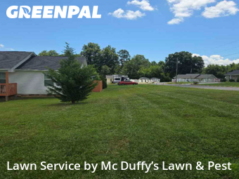 Grass Cut nearby Baneberry, TN, 