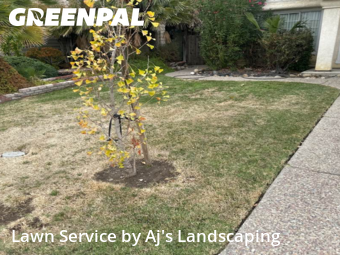 Work completed by lawn-care-experts-near-me-in-Tracy-CA