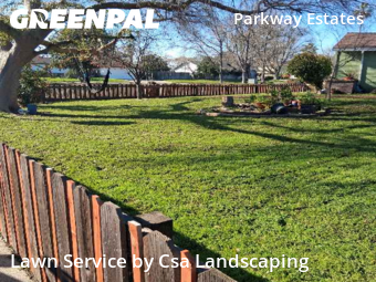 Local Lawn And Landscape Maintenance Services Near Me In Sacramento,95823,Landscaping Maintenance by Csa Landscaping, work completed in Jan , 2026