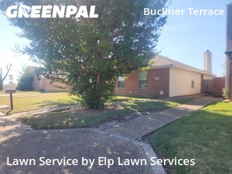 Grass Cutting nearby Dallas, TX, 