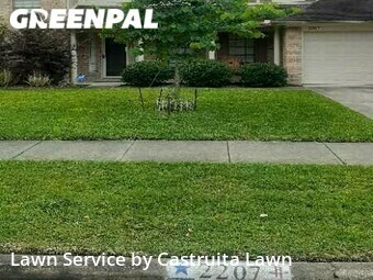 Grass Cutting nearby League City, TX, 