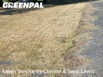 Lawn Care nearby San Antonio, TX, 