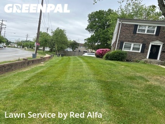 Yard Cutting nearby Capitol Heights, MD, 