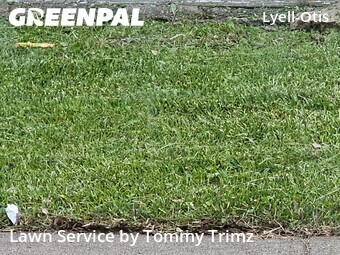Grass Cutting nearby Rochester, NY, 