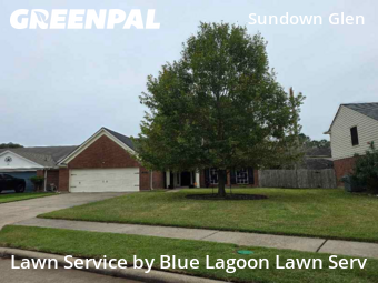 Lawn Cuttingin Katy,77449,Yard Cutting by Blue Lagoon Lawn Serv, work completed in Dec , 2025