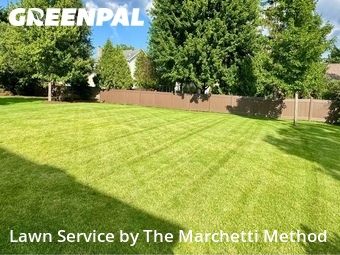 Lawn Cut nearby Aurora, IL, 