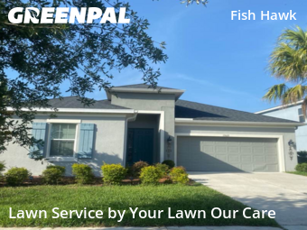 Lawn Management in Fish Hawk, 33547, Turf Services by Cnp Lawn Care, work completed in Nov , 2025