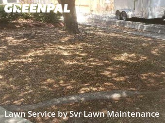 Lawn Care nearby San Antonio, TX, 
