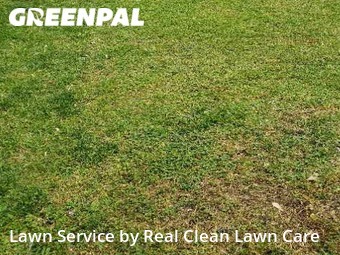 Yard Mowing nearby Charlotte, NC, 