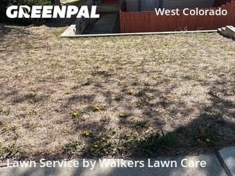 Grass Cut nearby Colorado Springs, CO, 