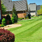 affordable-grass-cutting-businesses-in-Berwyn-IL