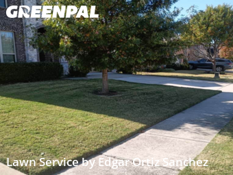 Grass Cutting nearby Mc Kinney, TX, 