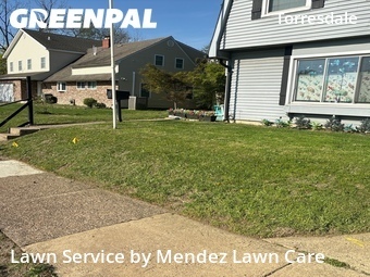 Yard Cutting nearby Philadelphia, PA, 