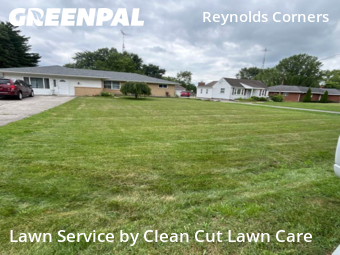 Clean Cut Lawn Care: Expert Tips for a Perfect Green Lawn