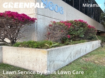 Yard Cutting nearby San Diego, CA, 