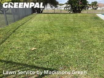 Grass Cut nearby Lake Worth, FL, 
