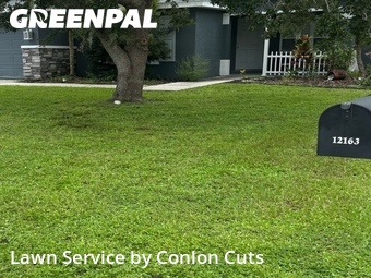 Lawn Mow nearby Bradenton, FL, 