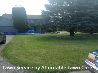 Yard Cutting nearby Battle Creek, MI, 