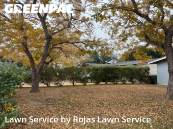 Lawn Care Service nearby Edinburg, TX, 
