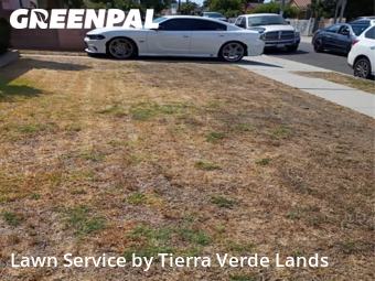 Work completed by local-lawn-maintenance-contractors-in-Lynwood-CA